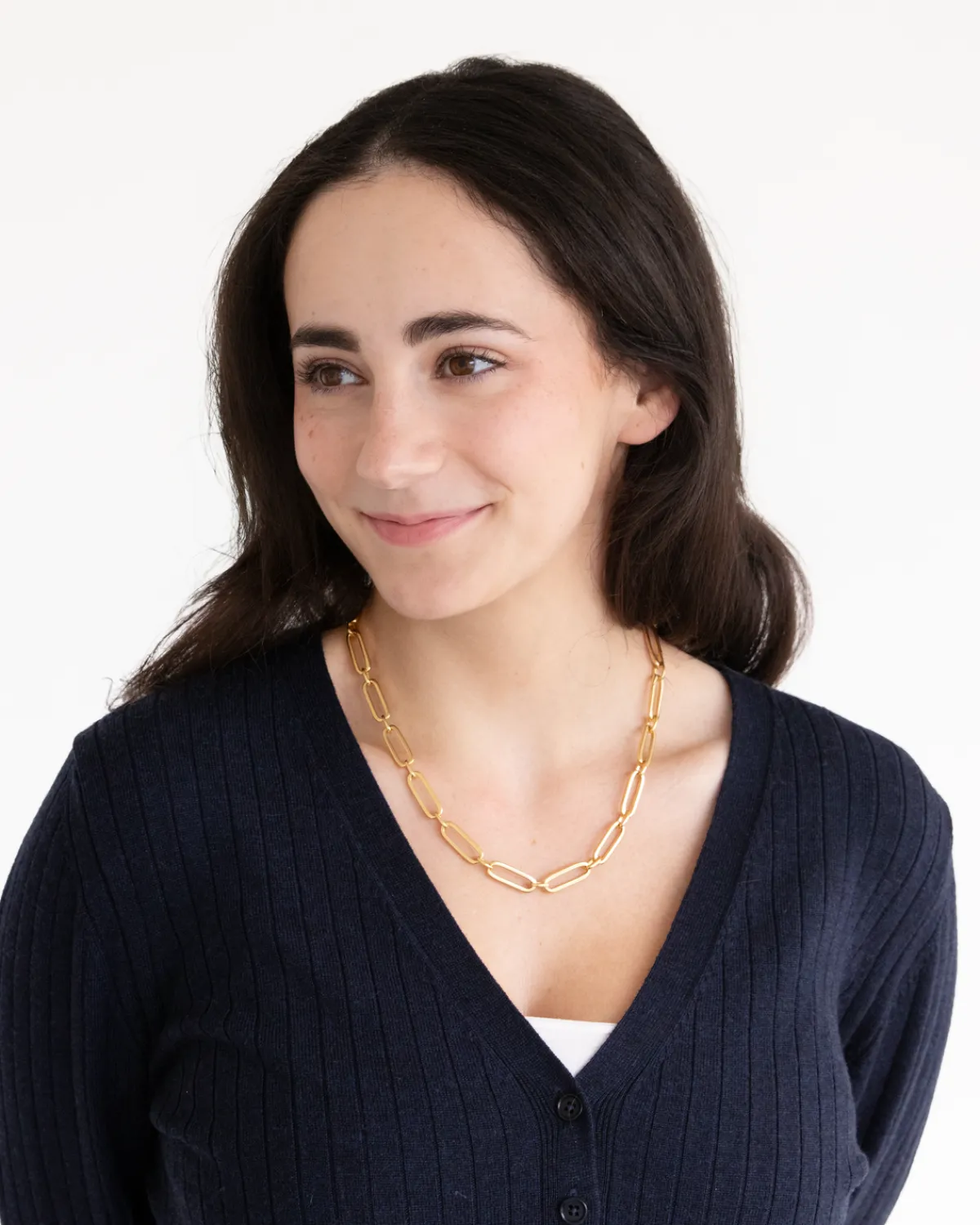 Mixed Link Paperclip Necklace|Susan Shaw Best