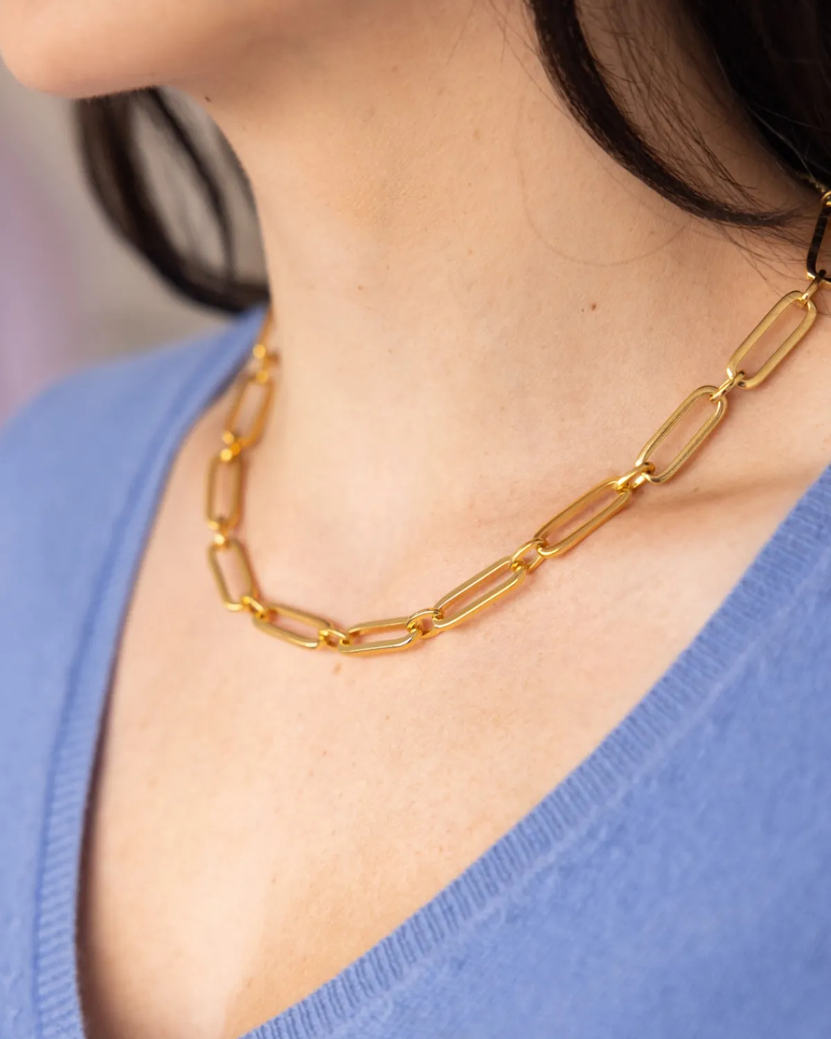 Mixed Link Paperclip Necklace|Susan Shaw Best
