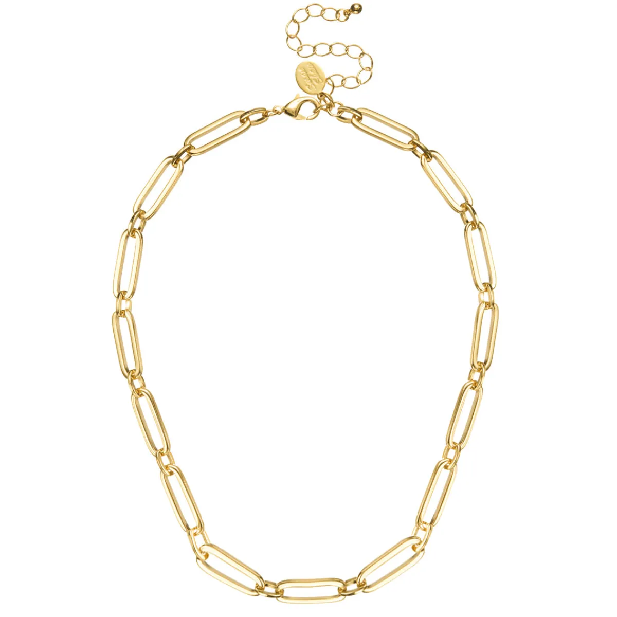 Mixed Link Paperclip Necklace|Susan Shaw Best