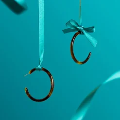Tortoise Hoops|Susan Shaw Best
