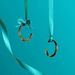 Tortoise Hoops|Susan Shaw Best